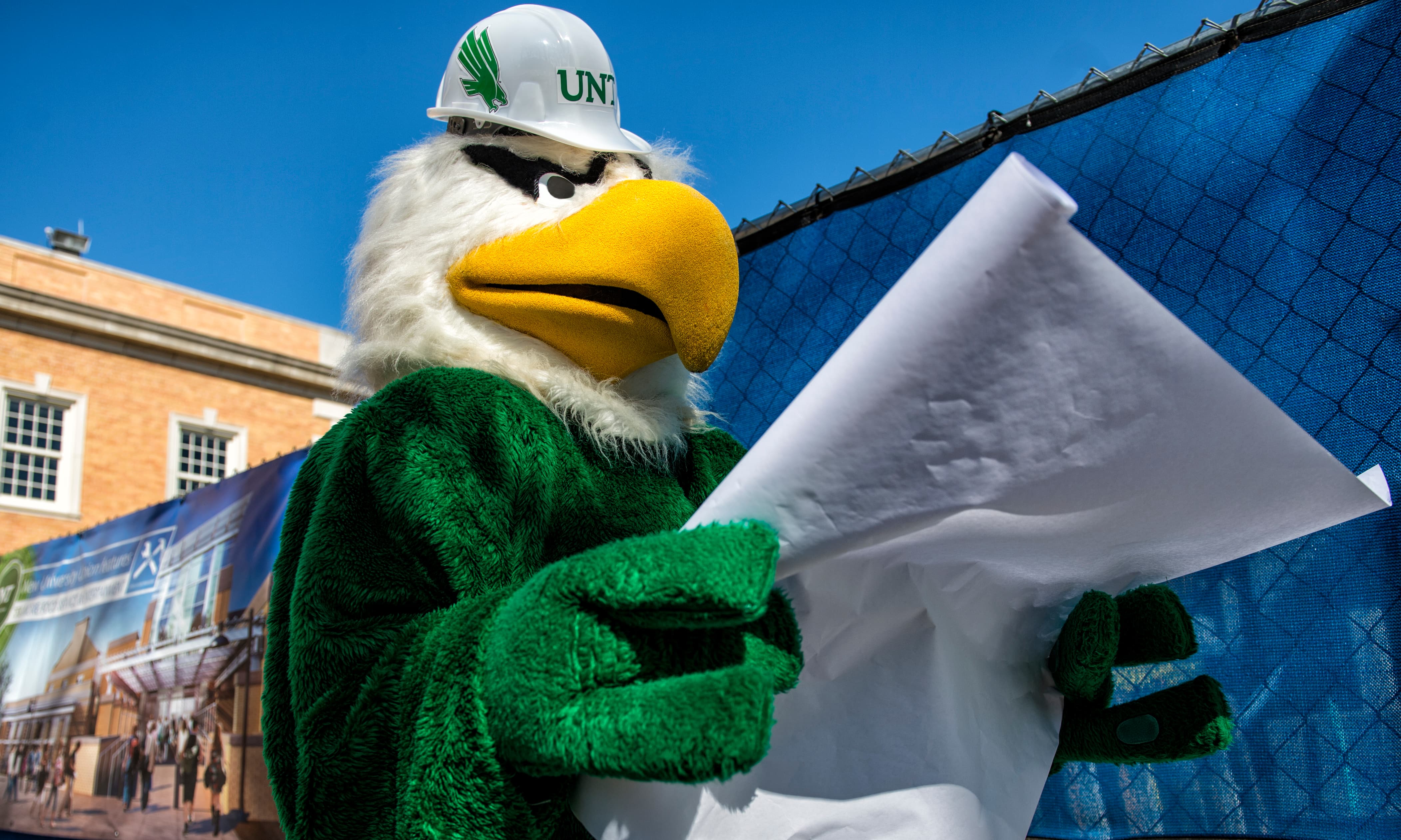 Scrappy in a hardhat holding blueprints