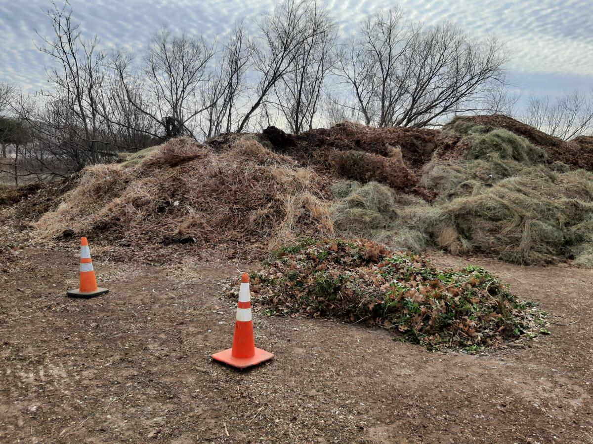 Photo of a pile of brush and limbs